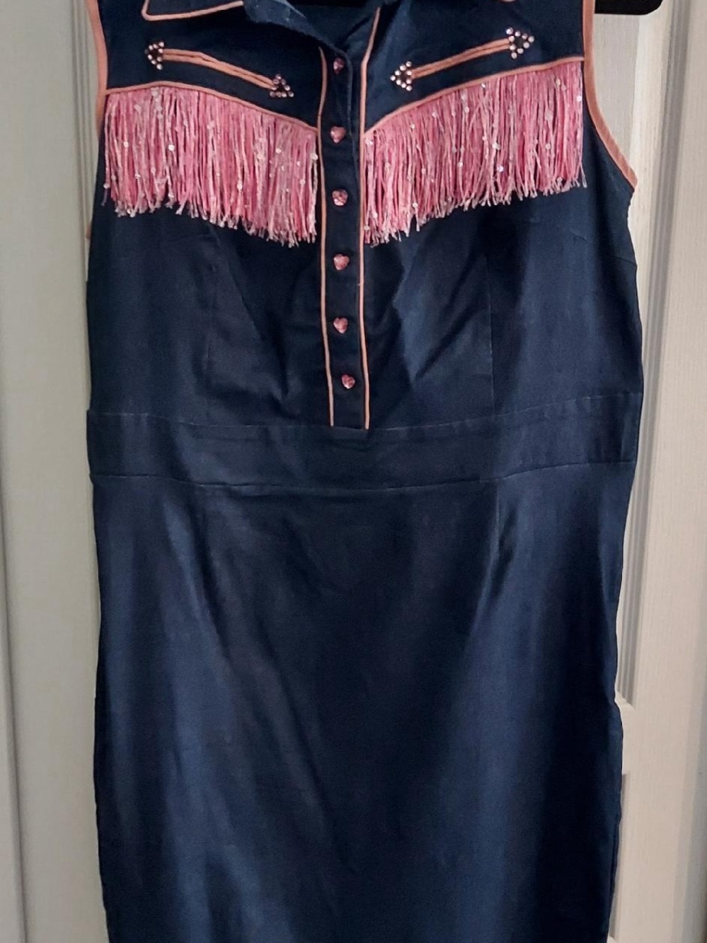 1X Unique Vintage Dress with Pink Trim and Fringe (added things for custom look)